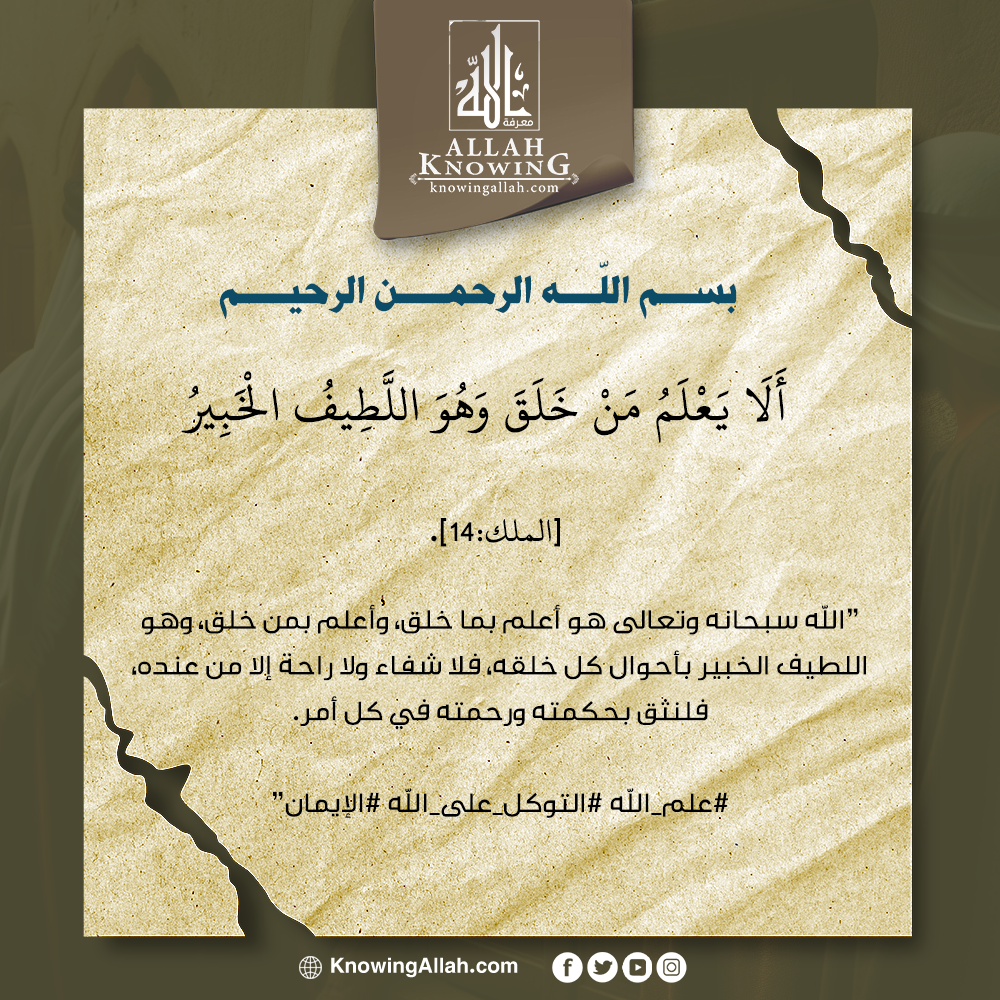 الله سبحانه وتعالى هو أعلم بما خلق | معرفة الله | علم وعَمل