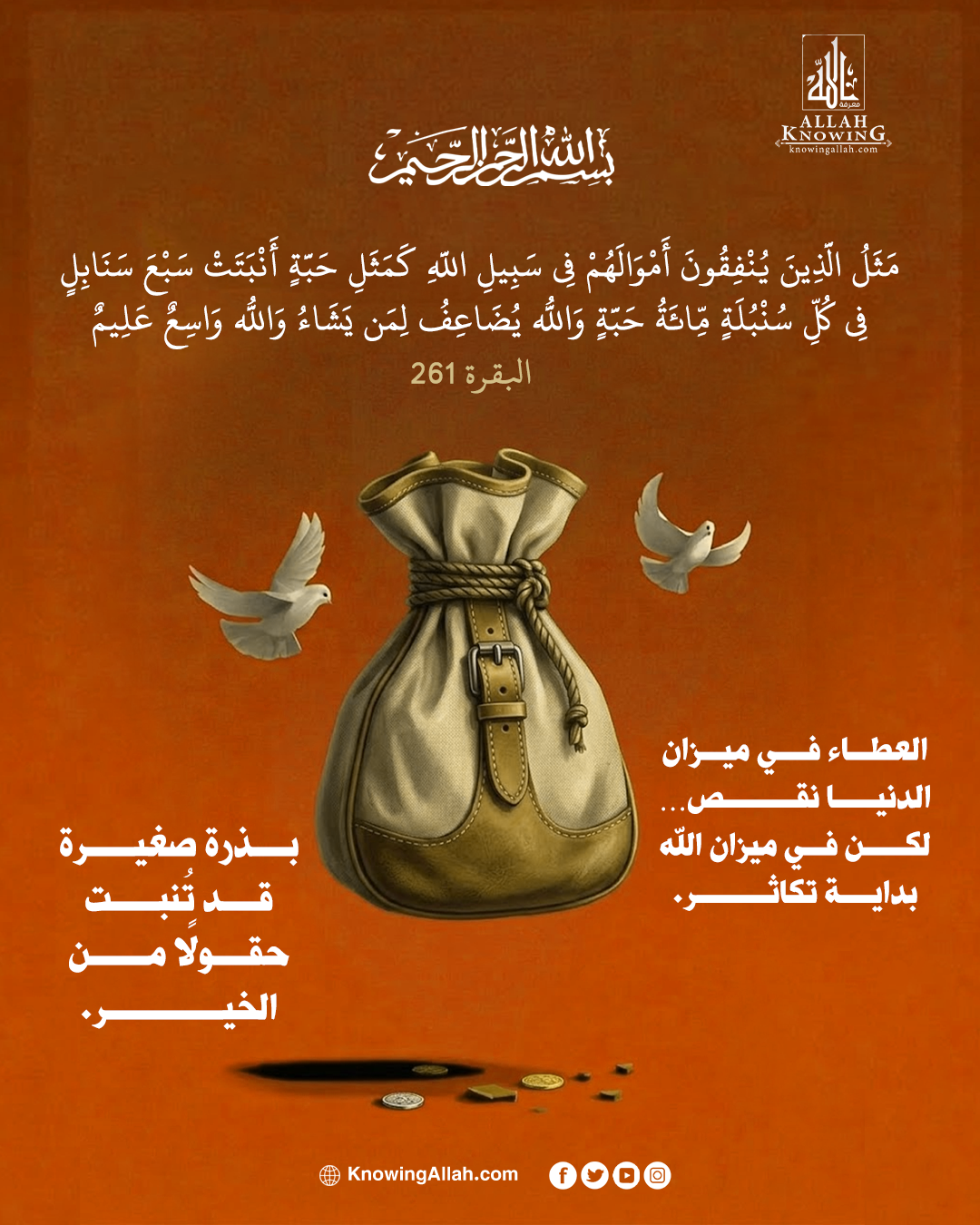 حين تتحول الصدقة إلى سنابل