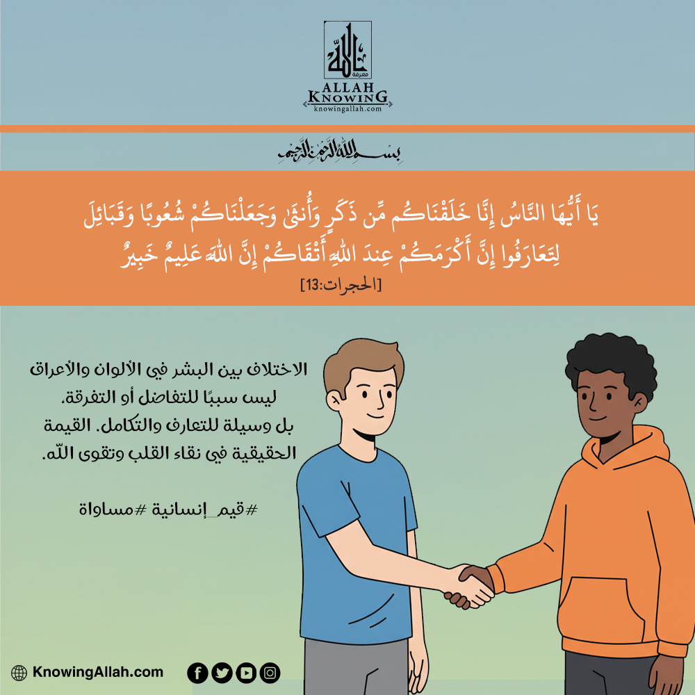  قيم إنسانية مساواة