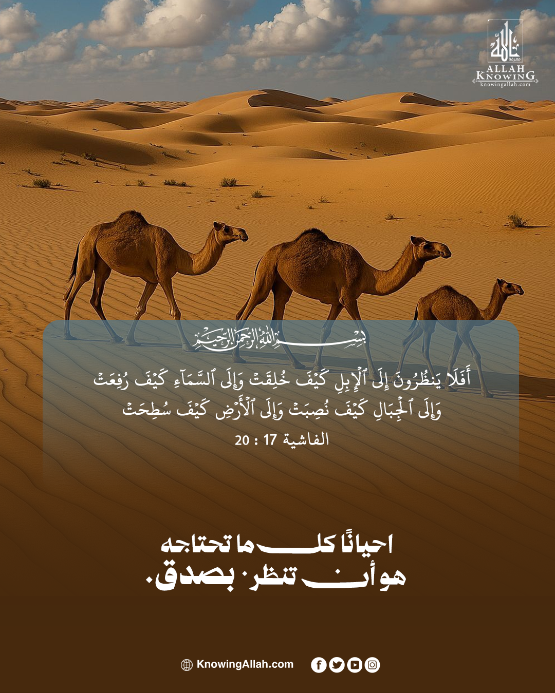 انظر حولك جيدًا 
