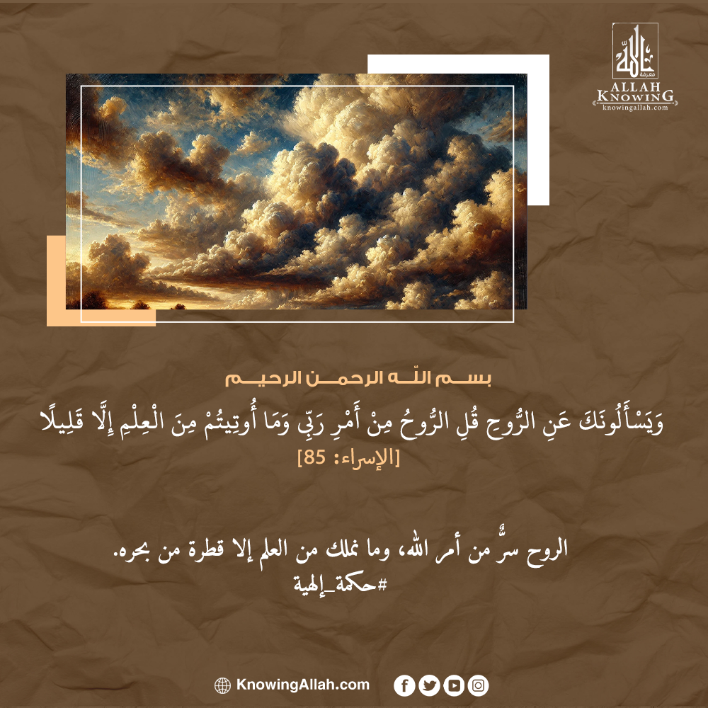 حكمة إلهية